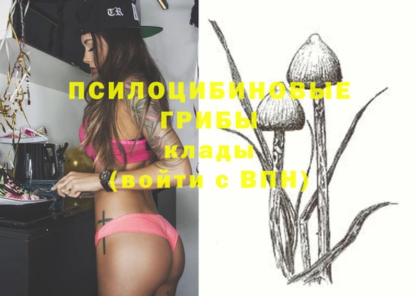синтетический гашиш Алексеевка
