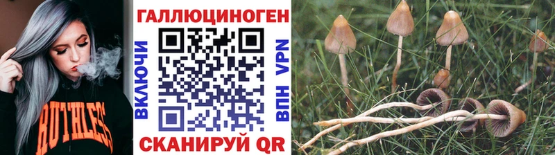 ОМГ ОМГ зеркало  Ардон  Псилоцибиновые грибы MAGIC MUSHROOMS  наркошоп 