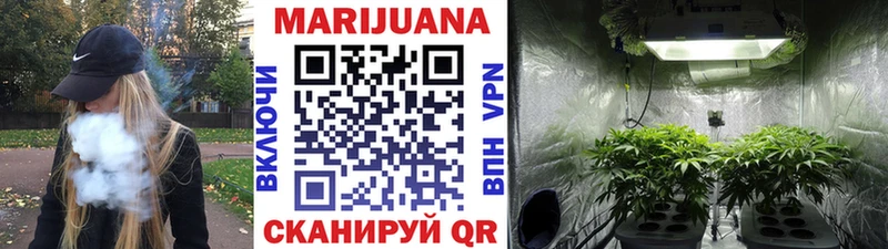 магазин продажи   Ардон  Марихуана планчик 
